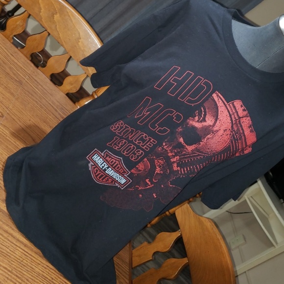 Harley-Davidson Other - Mens Large Harley Davidson  HD shirt